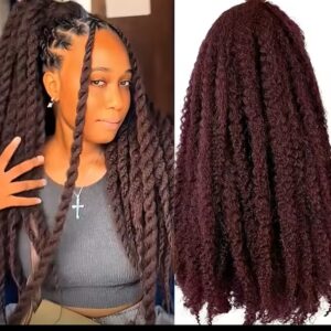 Afro Kinky Marley Twist
